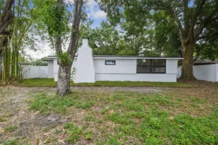 4910 N Darby Ave, Tampa, FL 33603 - Photo 47