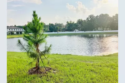 6199 Shiner Street, Land O Lakes, FL 34638 - Photo 19