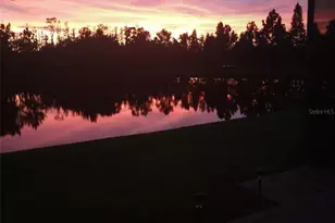 15717 Aurora Lake Cir, Wimauma, FL 33598 - Photo 43