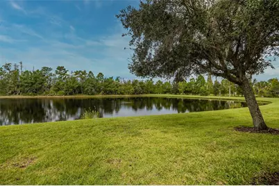 15717 Aurora Lake Circle, Wimauma, FL 33598 - Photo 41