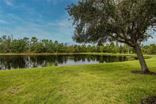 15717 Aurora Lake Cir, Wimauma, FL 33598 - Photo 41