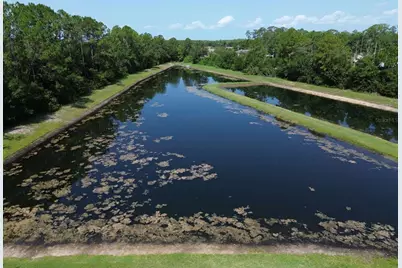 6008 Grand Sonata Avenue, Lutz, FL 33558 - Photo 29