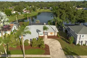 4643 Orange Grove Way, Palm Harbor, FL 34684 - Photo 3