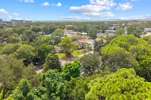 7327 Winchester Dr, Tampa, FL 33615 - Photo 41