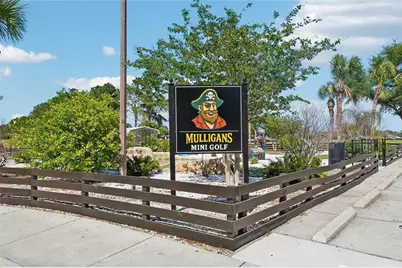 23442 Vistamar Court, Land O Lakes, FL 34639 - Photo 65