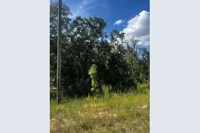 0 Crider Road, Weeki Wachee, FL 34614 - Photo 1