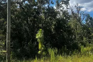 0 Crider Rd, Weeki Wachee, FL 34614 - Photo 1