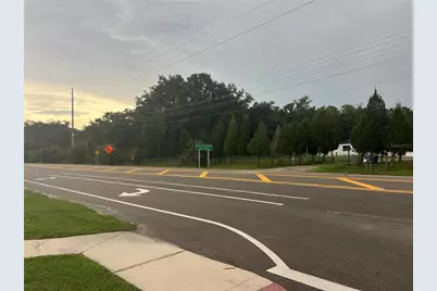 1 Thonotosassa, Thonotosassa, FL 33592 - Photo 7