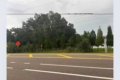1 Thonotosassa, Thonotosassa, FL 33592 - Photo 5