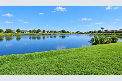 337 Star Shell Drive, Apollo Beach, FL 33572 - Photo 35