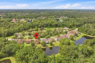 11241 Belle Haven Dr, New Port Richey, FL 34654 - Photo 27