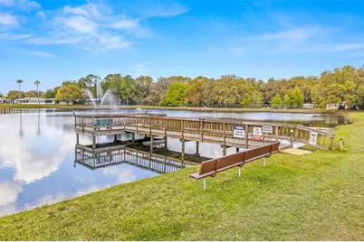 3041 Short Leaf Street, Wesley Chapel, FL 33543 - Photo 25