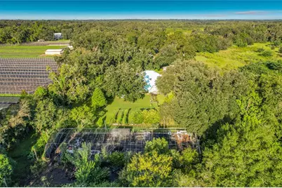2320 Bogaert Road, Dover, FL 33527 - Photo 61