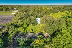 2320 Bogaert Rd, Dover, FL 33527 - Photo 61