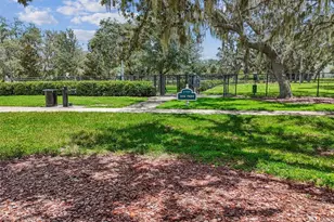 12903 Wildflower Meadow Dr, Riverview, FL 33579 - Photo 85