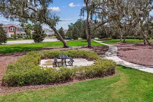 12903 Wildflower Meadow Dr, Riverview, FL 33579 - Photo 83