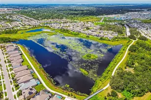 12903 Wildflower Meadow Dr, Riverview, FL 33579 - Photo 61
