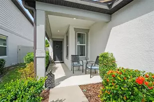 20873 Drake Elm Dr, Land O Lakes, FL 34638 - Photo 5