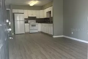 8206 Elmer St, Tampa, FL 33604 - Photo 3