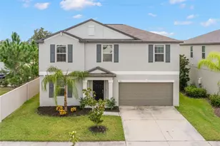 5061 White Chicory Dr, Apollo Beach, FL 33572 - Photo 1