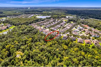 7931 Hampton Lake Drive, Tampa, FL 33647 - Photo 7