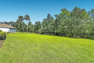 18815 Carr Dr, Lutz, FL 33559 - Photo 49