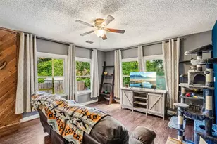 6565 Wayne St, Saint Petersburg, FL 33702 - Photo 7