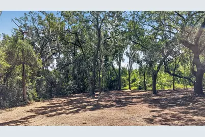 00 W Knights Griffin Road, Plant City, FL 33565 - Photo 25