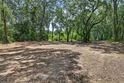 00 W Knights Griffin Road, Plant City, FL 33565 - Photo 5