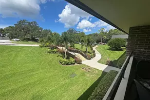 36750 US Hwy 19 N, Palm Harbor, FL 34683 - Photo 29