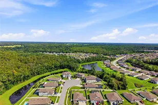 18117 Romanesque Ct, Spring Hill, FL 34610 - Photo 39