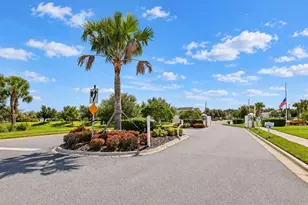 3820 Shimmering Oaks Dr, Parrish, FL 34219 - Photo 73