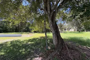 10526 E Irene St, Inverness, FL 34450 - Photo 43
