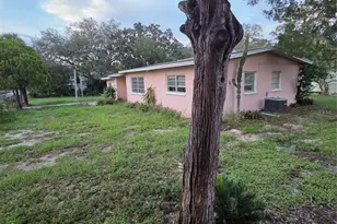 350 N Levis Ave, Tarpon Springs, FL 34689 - Photo 43