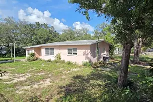 350 N Levis Ave, Tarpon Springs, FL 34689 - Photo 1