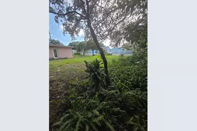 350 N Levis Avenue, Tarpon Springs, FL 34689 - Photo 45
