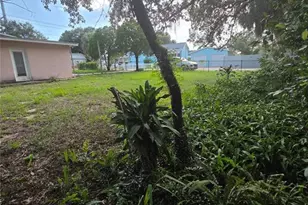 350 N Levis Ave, Tarpon Springs, FL 34689 - Photo 45