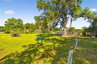 22420 Shoreside Dr, Land O Lakes, FL 34639 - Photo 91