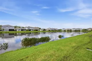 3073 Mountain Spruce Ter, Wesley Chapel, FL 33543 - Photo 43