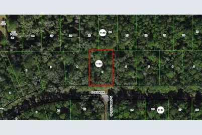 1135 E Odin Drive, Citrus Springs, FL 34434 - Photo 3
