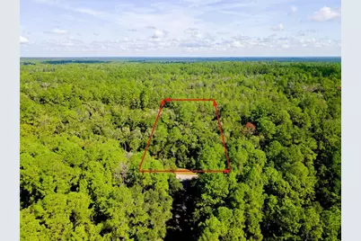 1135 E Odin Drive, Citrus Springs, FL 34434 - Photo 5