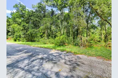 1163 E Odin Drive, Citrus Springs, FL 34434 - Photo 11