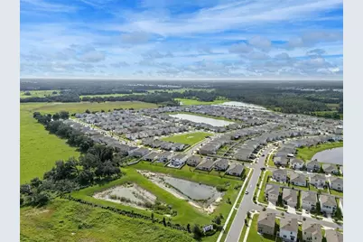33503 Field Maple Loop, Wesley Chapel, FL 33545 - Photo 31