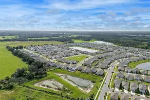 33503 Field Maple Loop, Wesley Chapel, FL 33545 - Photo 31