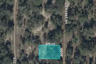 NE 148th Ct, Williston, FL 32696 - Photo 1