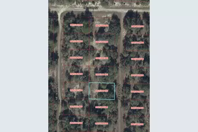 Ne 148th Court, Williston, FL 32696 - Photo 3