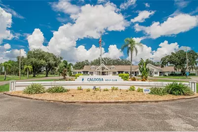 1517 Allegheny Drive, Sun City Center, FL 33573 - Photo 53