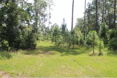 Us Highway 98 W, Frostproof, FL 33843 - Photo 35