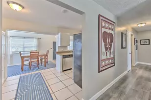 4502 W Pearl Ave, Tampa, FL 33611 - Photo 5