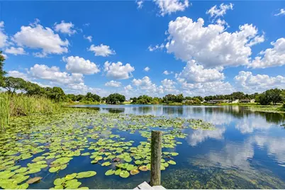 12505 Mondragon Drive, Tampa, FL 33625 - Photo 15